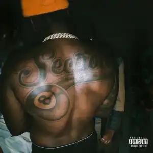 Pardison Fontaine - Rodman